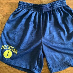19nine Men's' University of Michigan Retro Practice Shorts